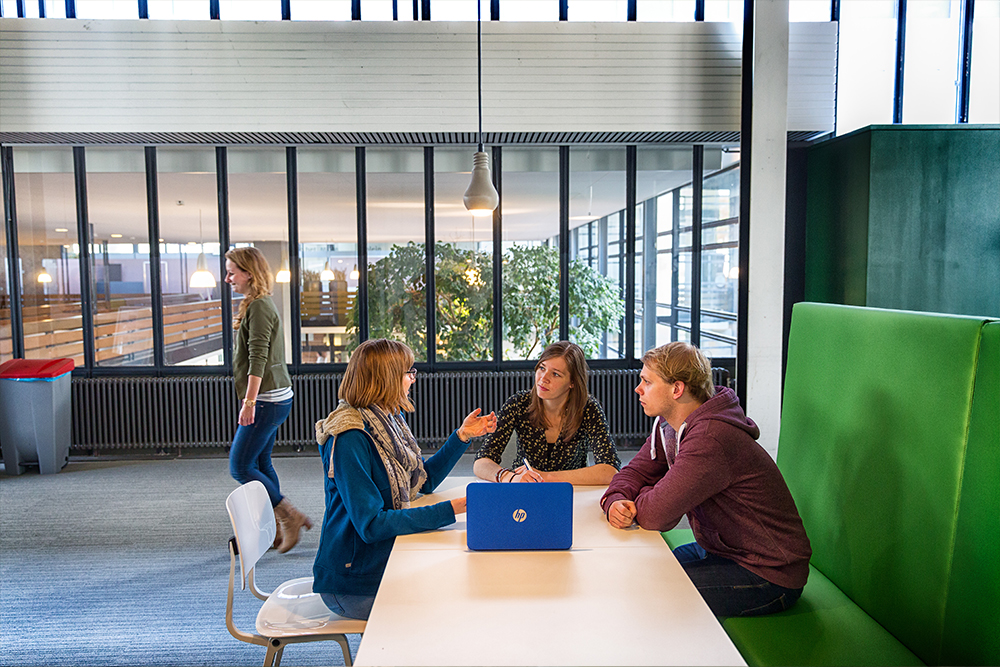 Scopri le opportunità per ottenere la Laurea Magistrale o un Master Universitario in Olanda con il supporto di Goingdutch e le migliori università.