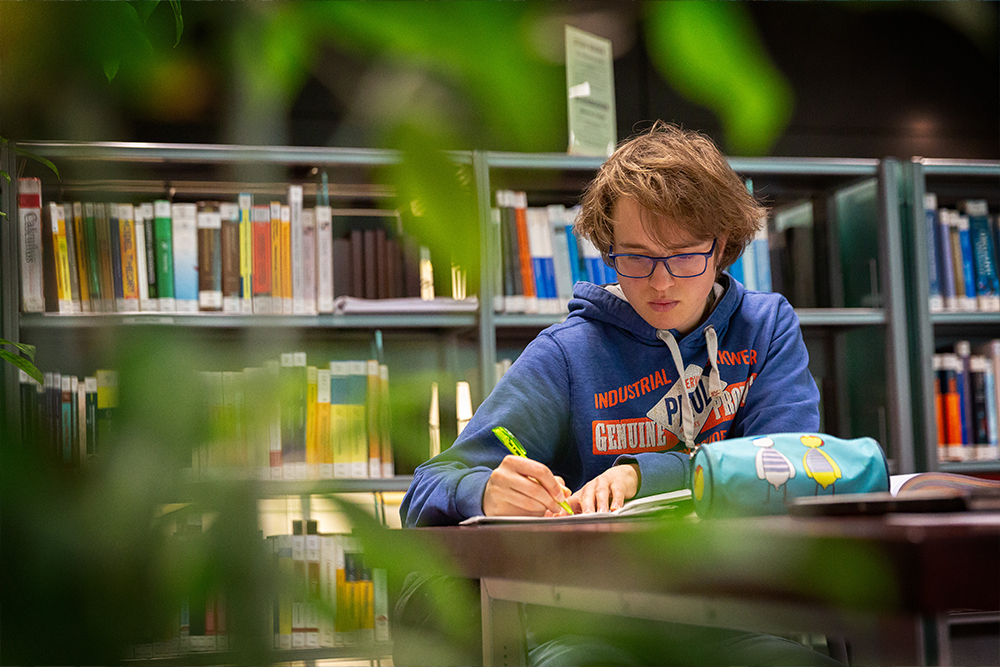Completa la tua Laurea Triennale in Olanda con l'aiuto di Goingdutch, che ti guida nella scelta dell'università e nel processo di ammissione.