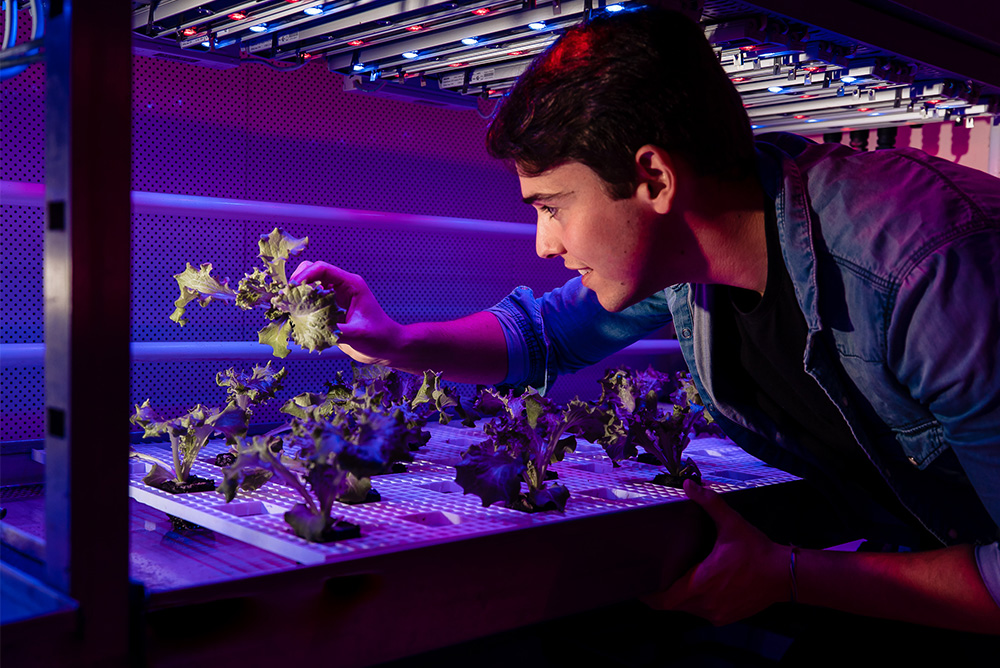 Goingdutch collaborates with Has Green Academy. Learn about our advice for studying at the best universities in the Netherlands.